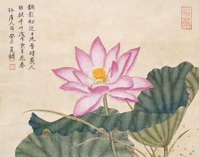 吴美美 红荷 镜心